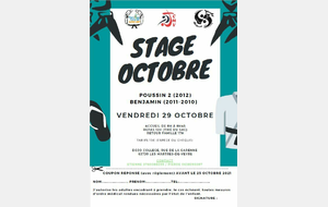 Stage poussins 2, benjamins - Les Martres de Veyre (63)